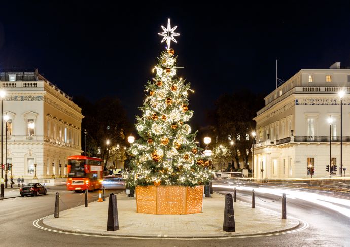 Christmas Tree in Waterloo