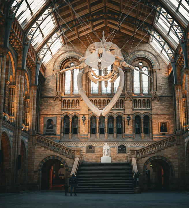 National History Museum