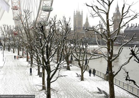 Christmas Day Lunch Cruise and Guided City Tour of London