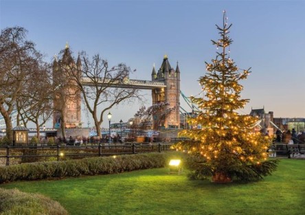 1 day Hop-on Hop-off Tour - Christmas Day