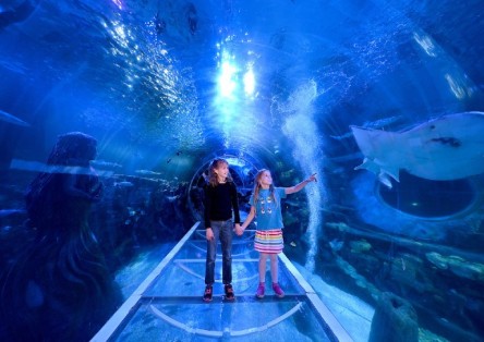 SEA LIFE Birmingham