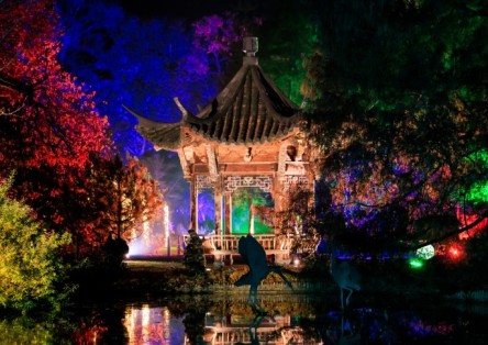 RHS Glow at Garden Wisley