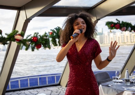 Thames Christmas Party Cruise with Lunch or Dinner