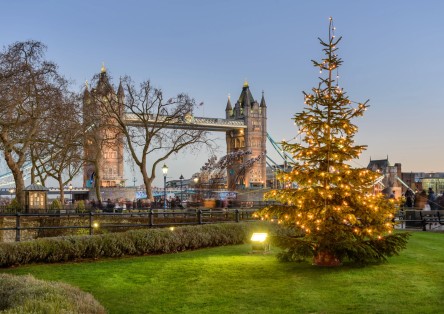 1 day Hop-on Hop-off Tour on Christmas Day