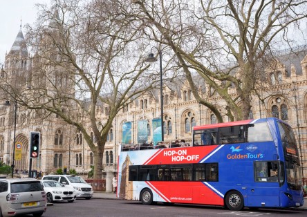 Hop-on-Hop-off-Bustour durch London und London Eye