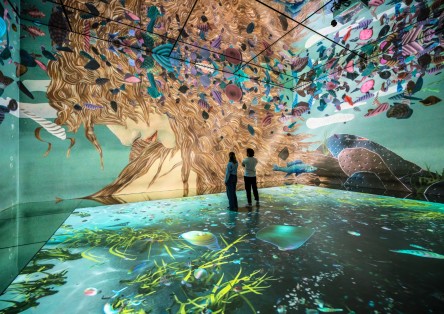 Frameless – Immersive Art Experience