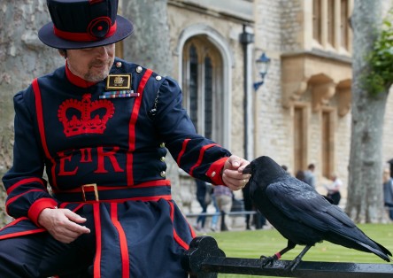 Royal London, Tower of London & Hever Castle Private Tour