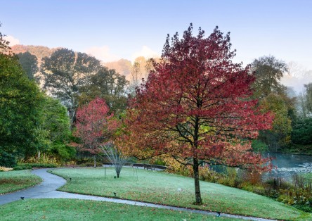 RHS Garden Rosemoor