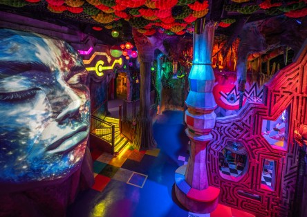 Wake The Tiger: Immersive Art Experience