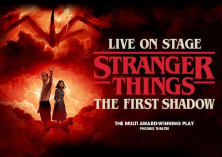 Stranger Things : The First Shadow