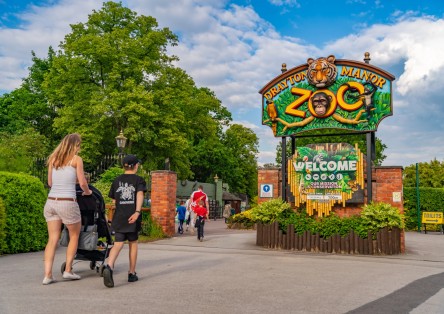 Drayton Manor Resort