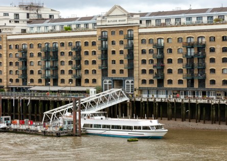 Thames River Cruise with Afternoon Tea or Two-Course Dinner