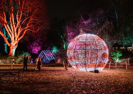 Chelsea Winter Illuminations