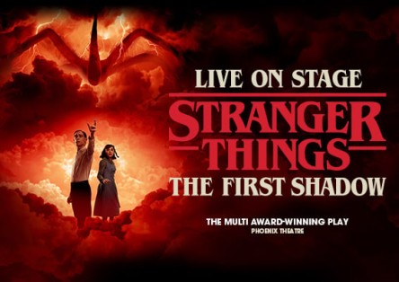 Stranger Things : The First Shadow
