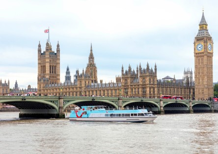 River Thames Coffee Cruise