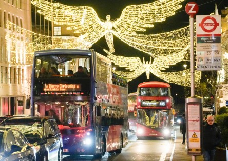 Christmas Lights London by Night Tour with Live Guide