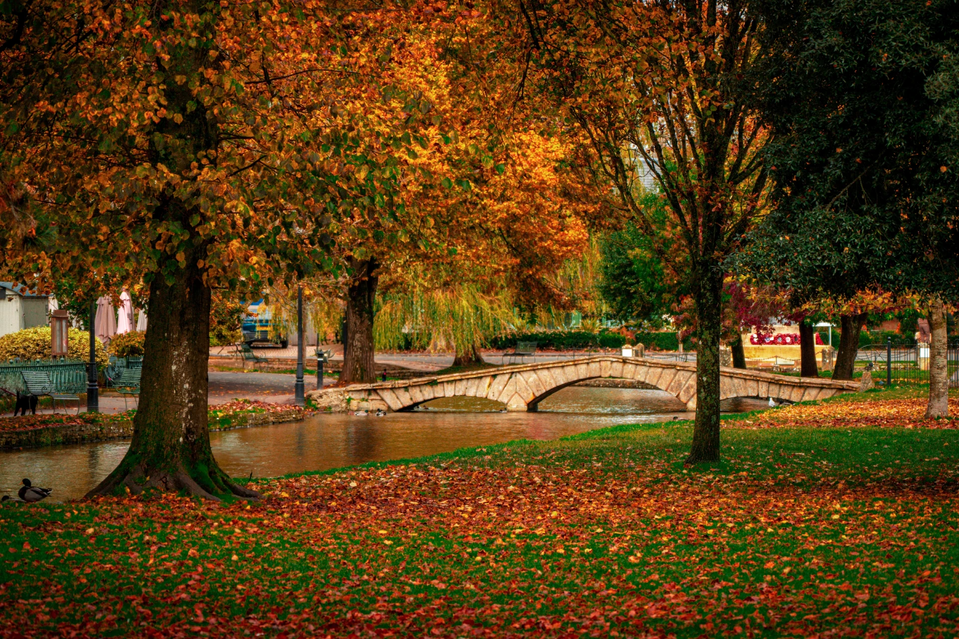 Windrush Bridge, the Cotswolds