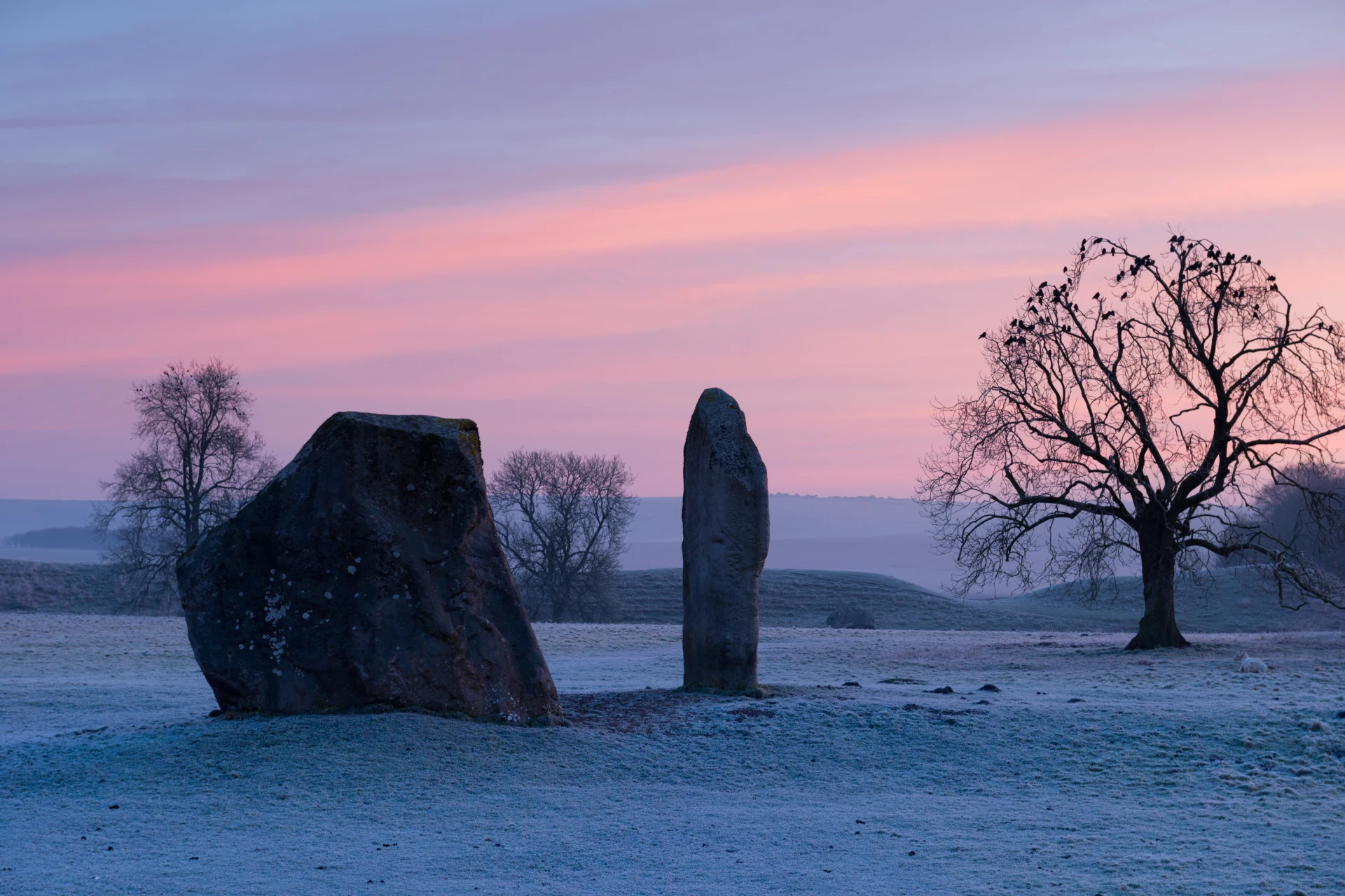 Avebury Stones