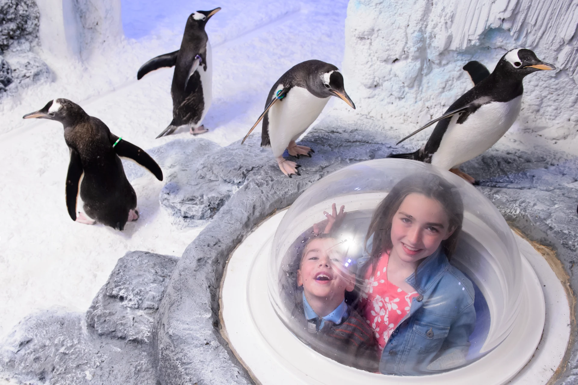 SeaLife London Aquarium