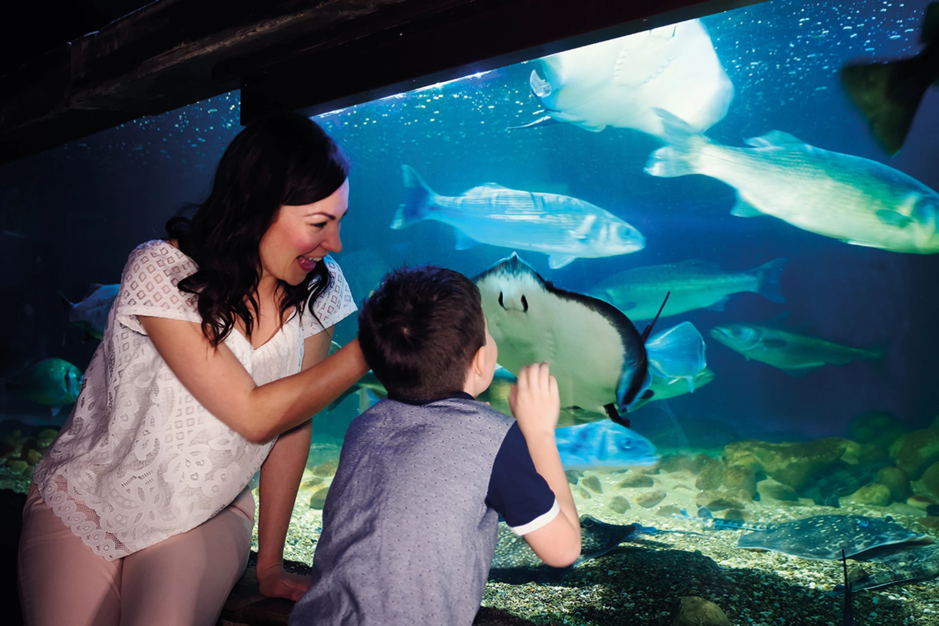 Sea Life London Aquarium