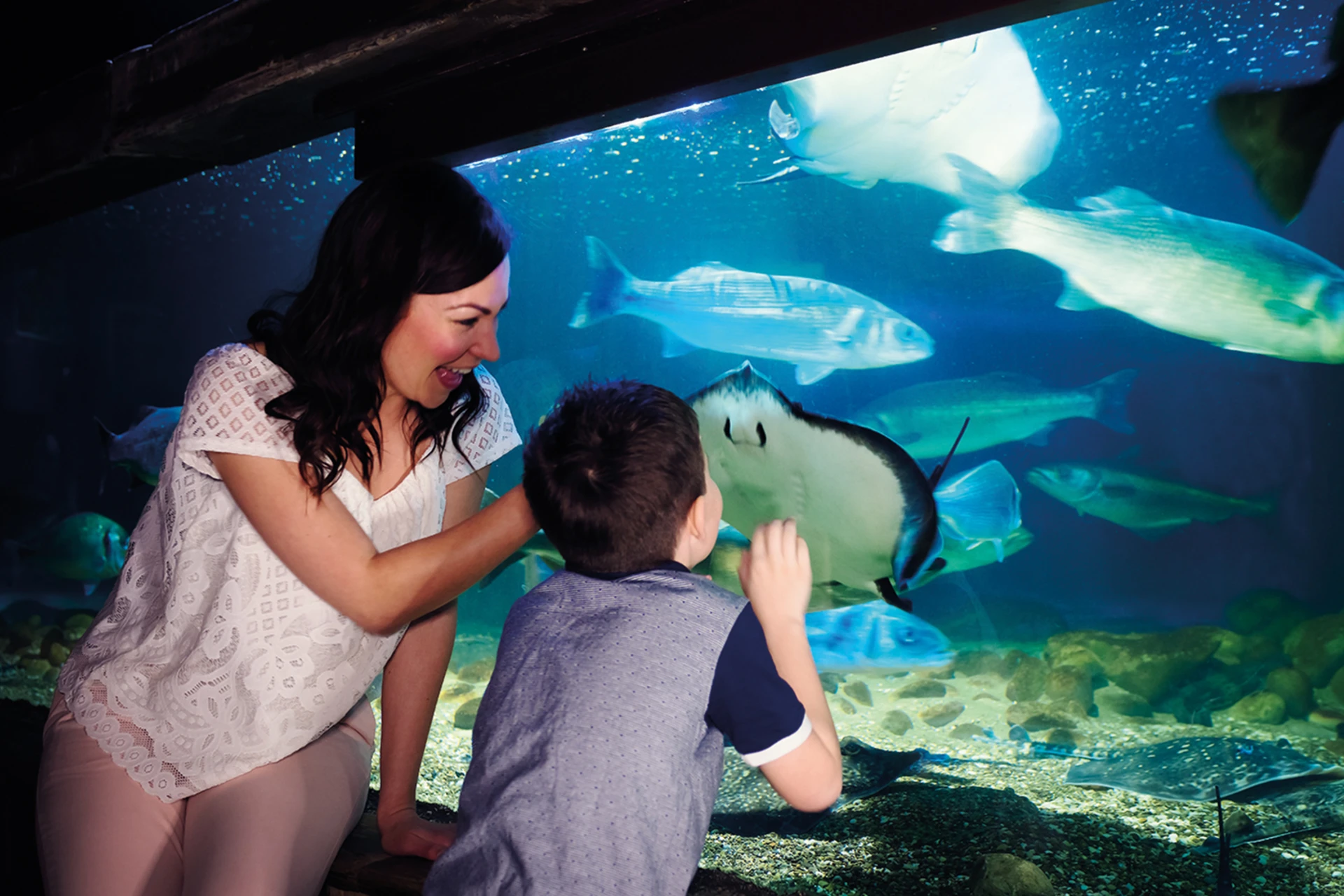 Sea Life London Aquarium
