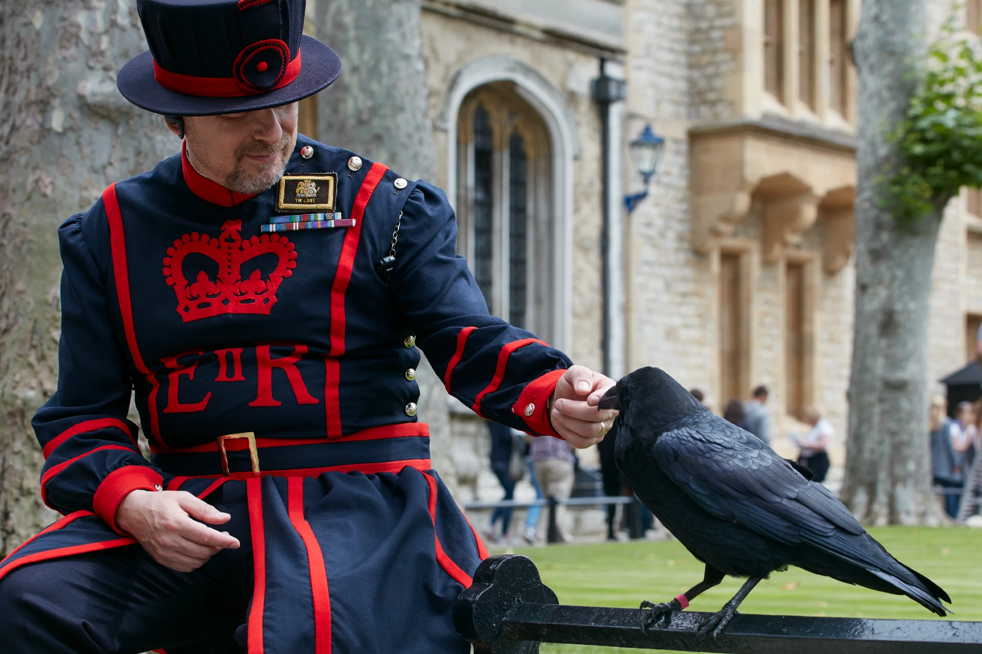 Royal London, Tower of London & Hever Castle Private Tour
