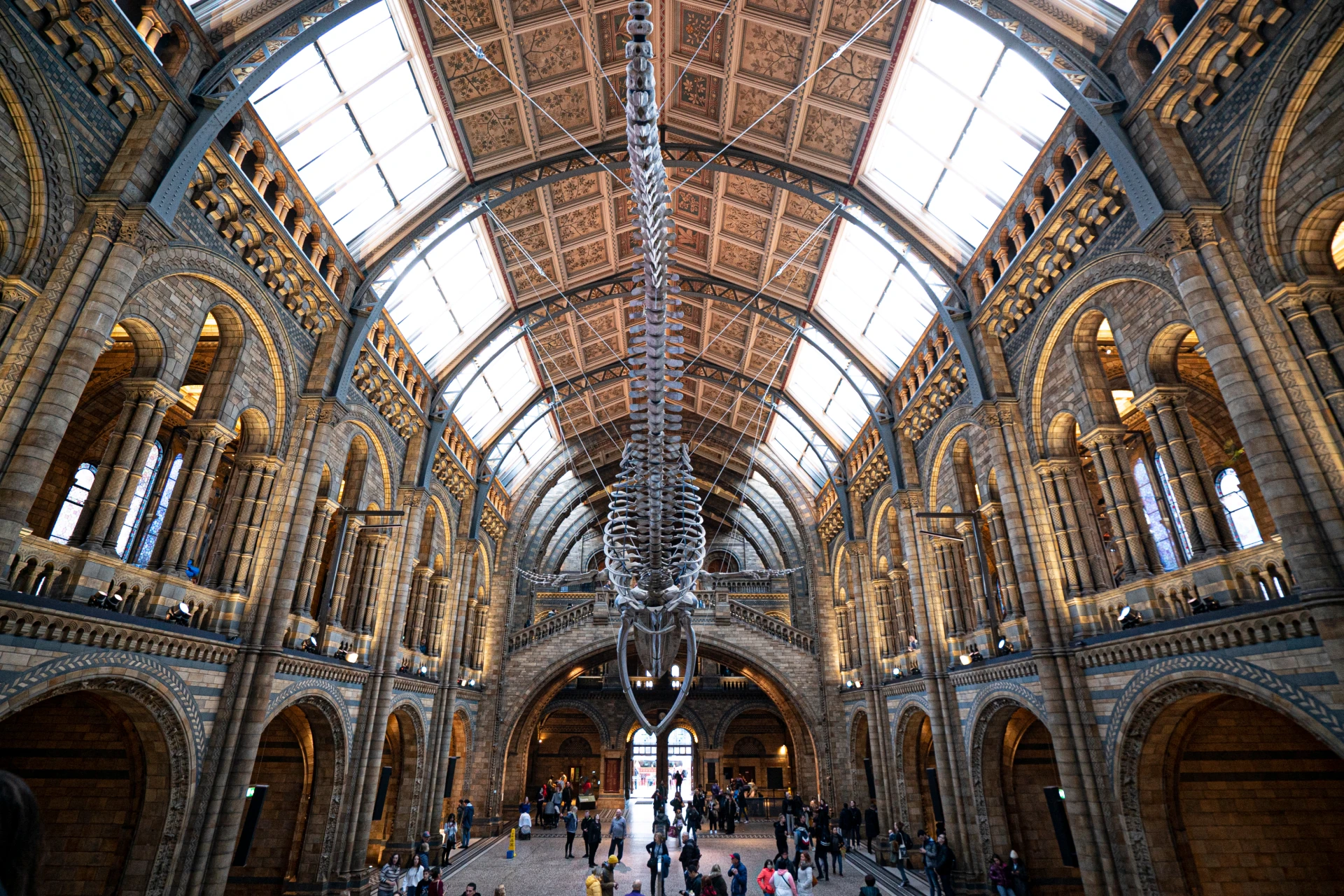 The Natural History Museum Guided Tour