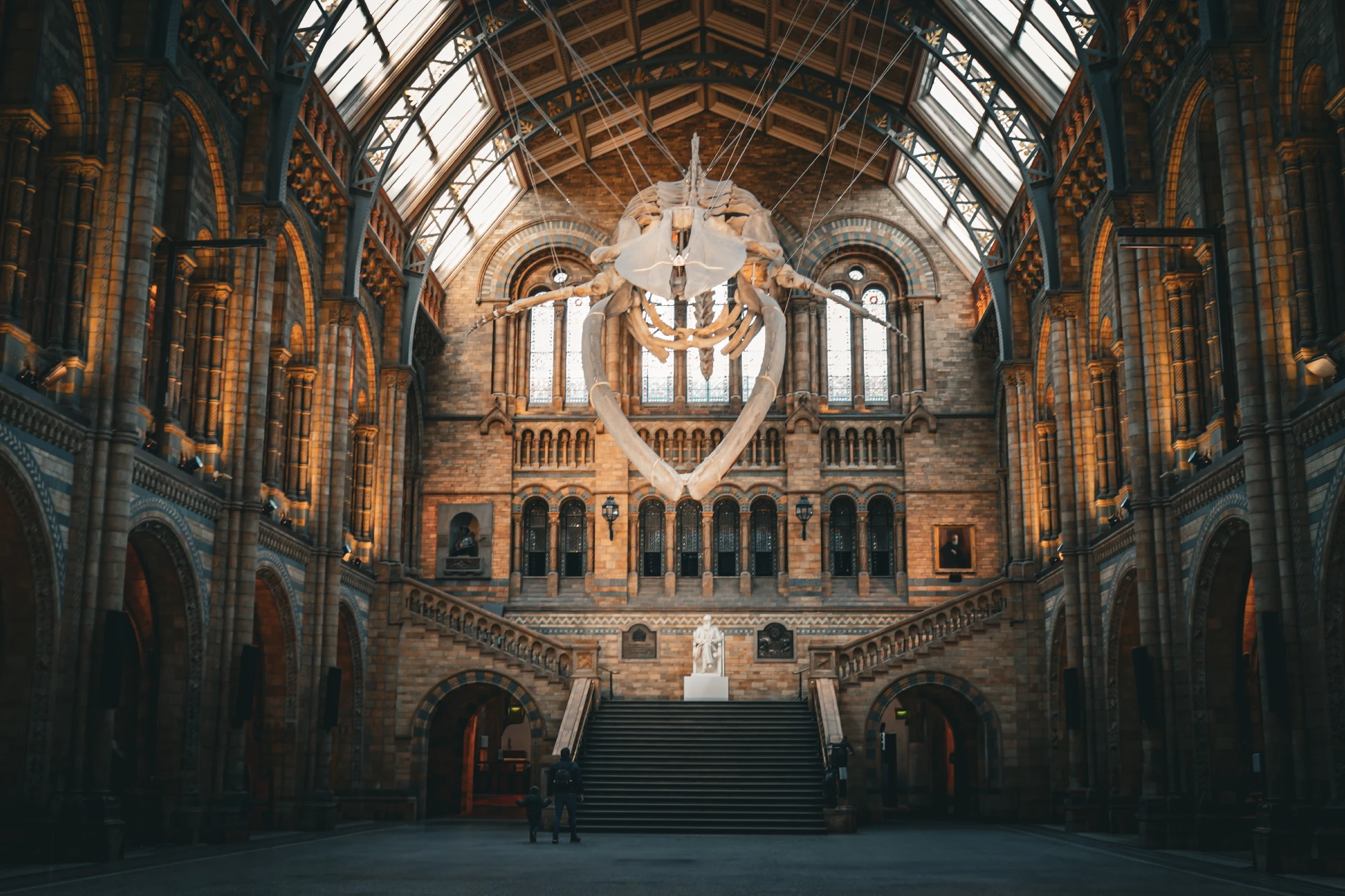 The Natural History Museum Guided Tour