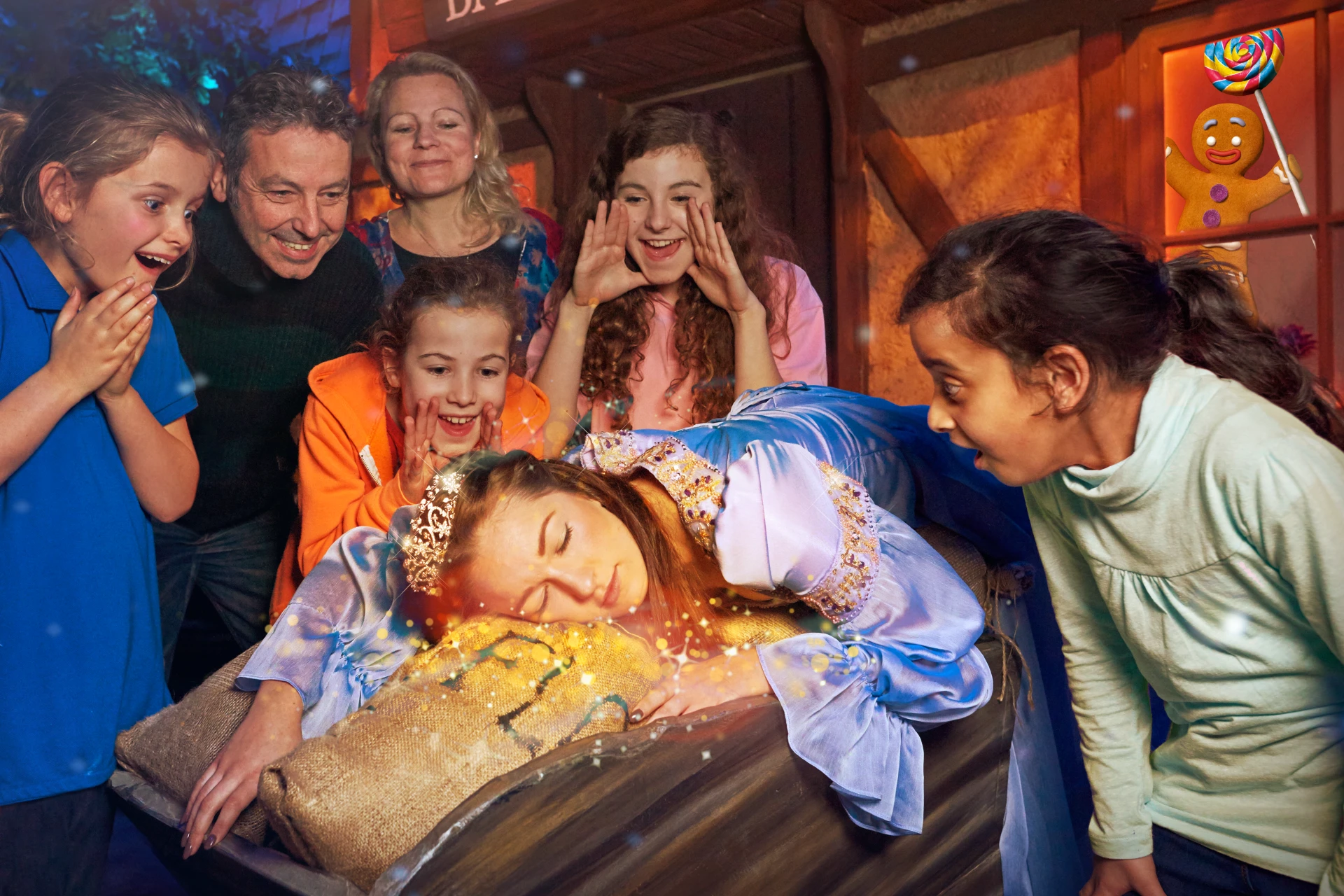 Shrek Sleeping Beauty