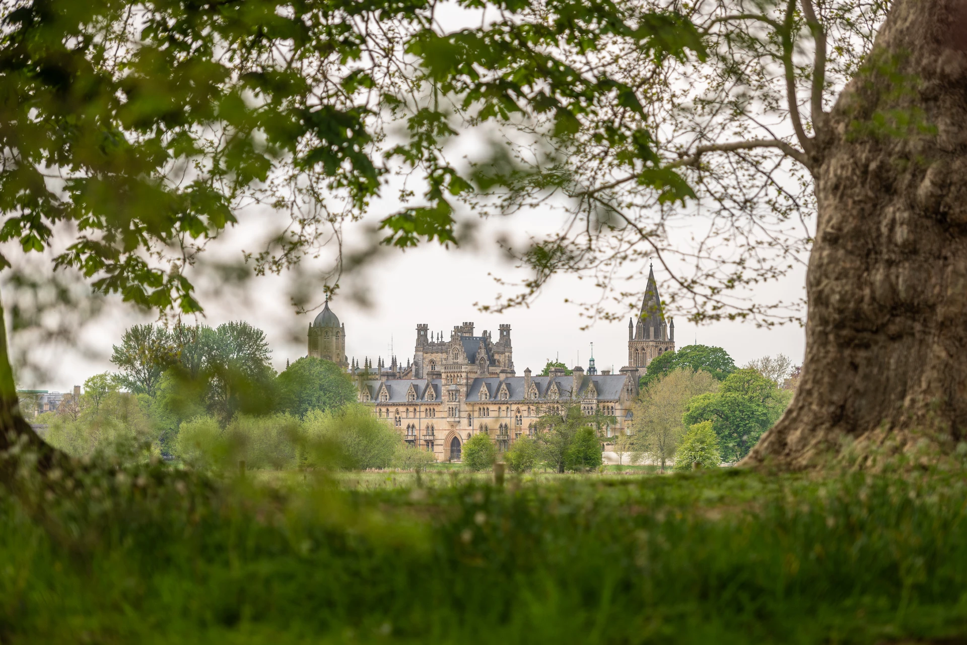 Oxford River Cruises