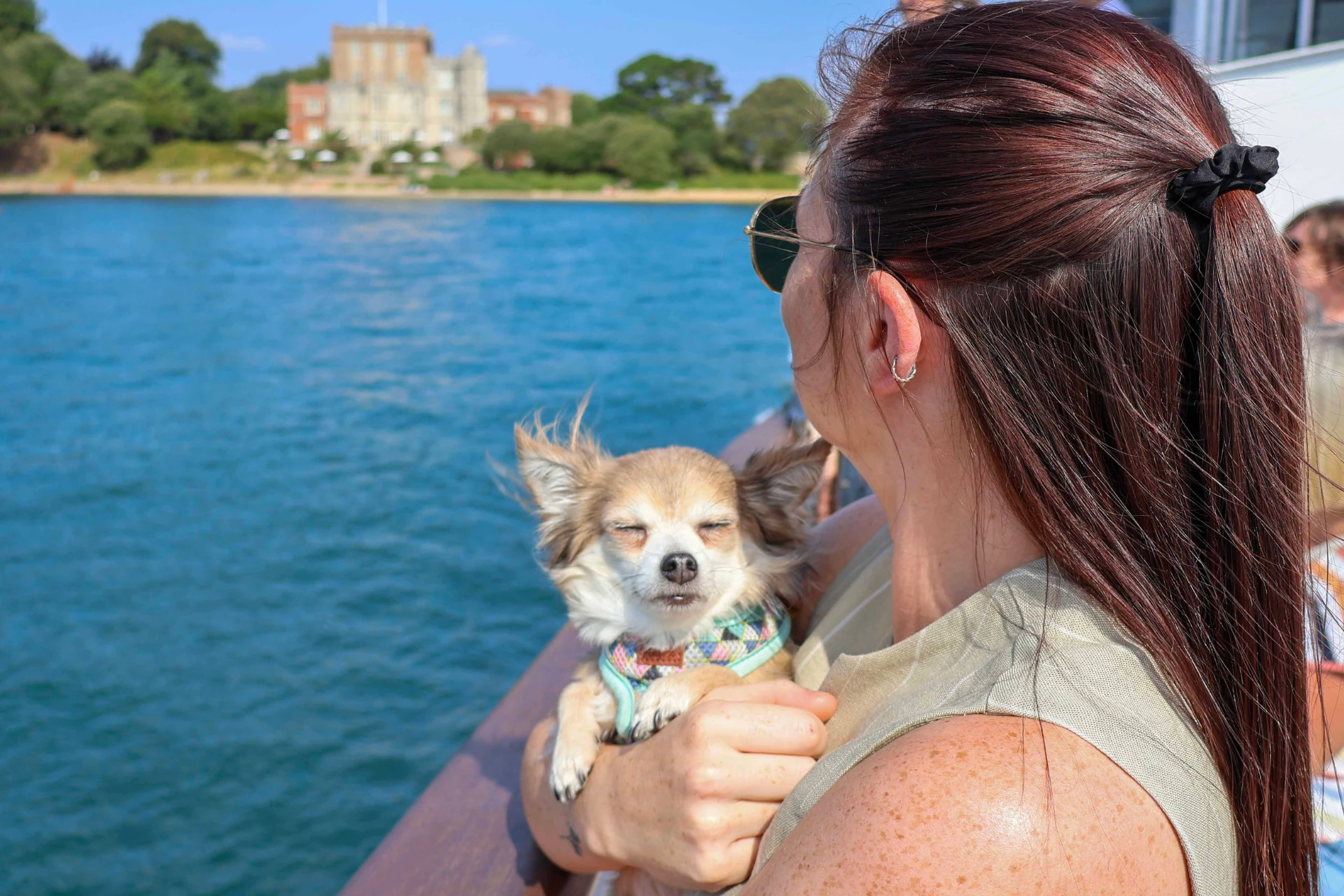 Poole Harbour Cruise