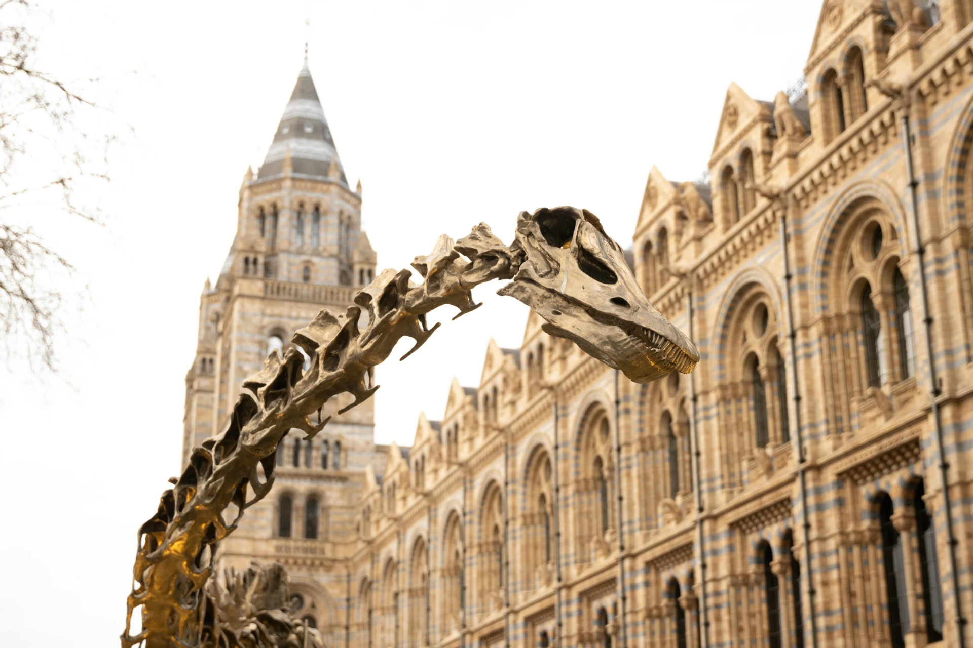 Natural History Museum