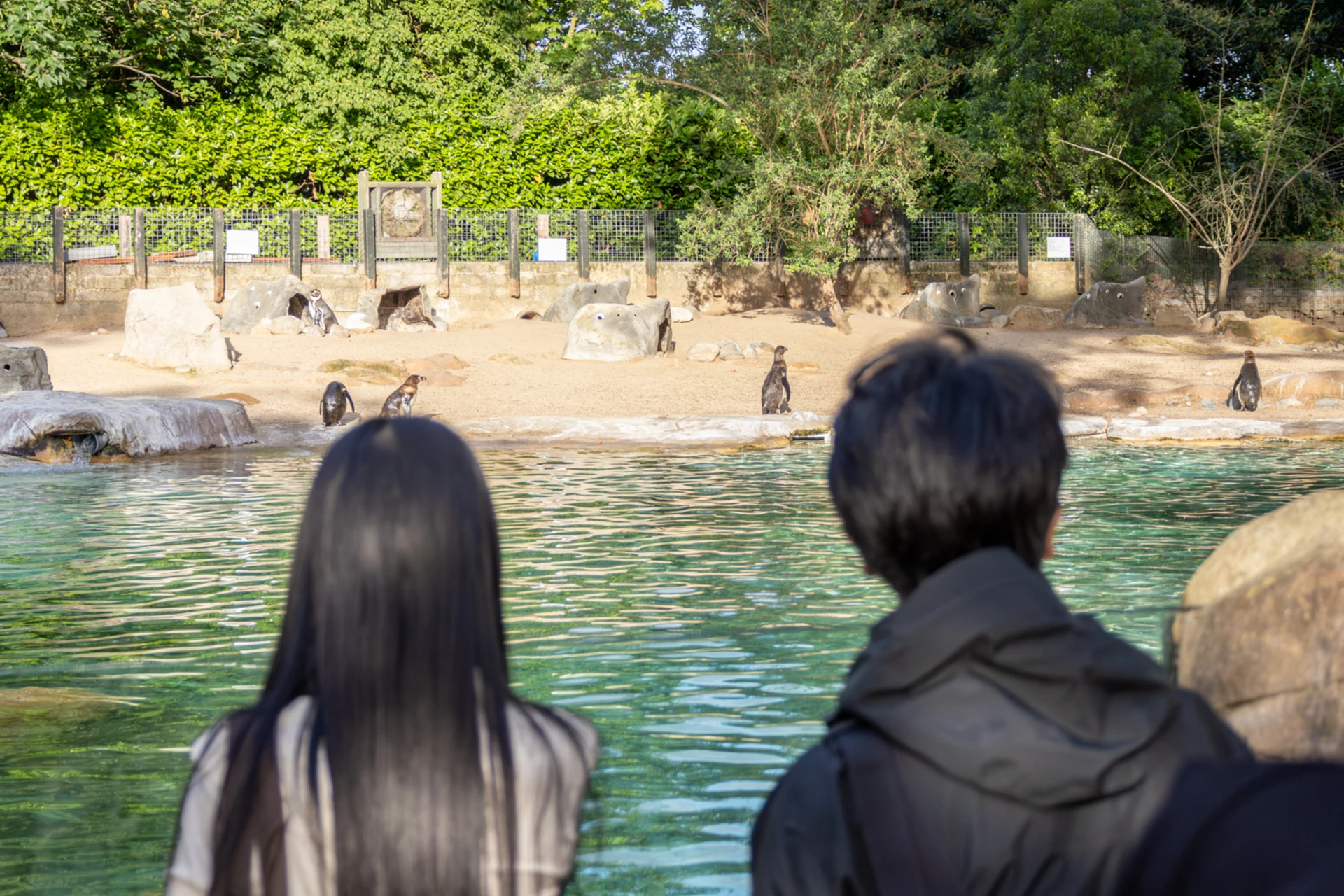 London Zoo