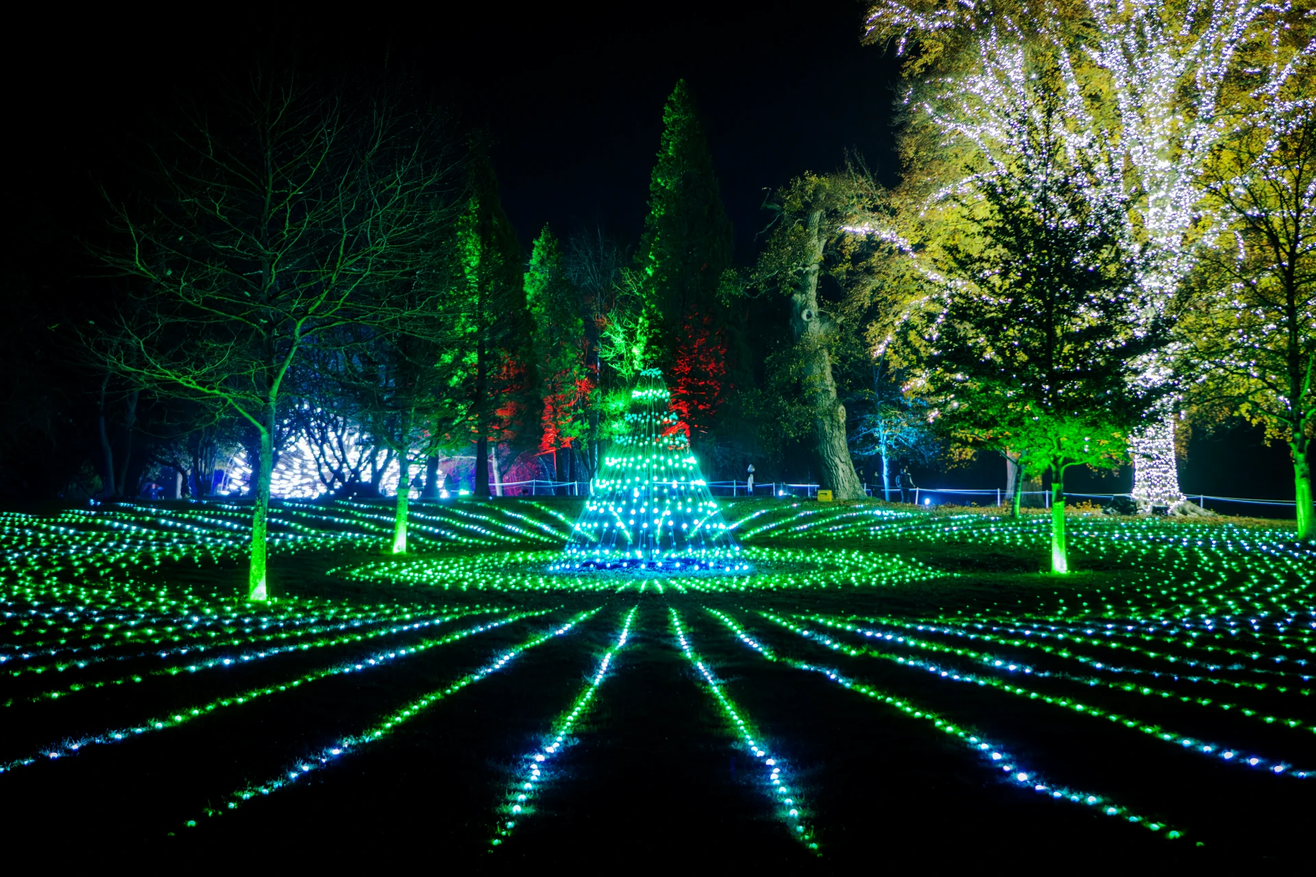 Sea of Light at Blenheim Palace