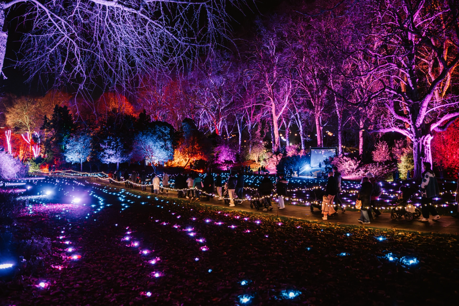 Chelsea Winter Illuminations