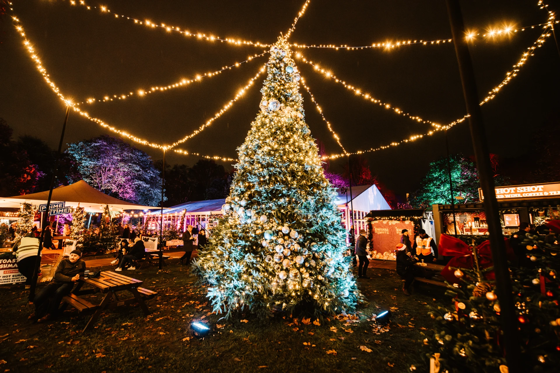 Chelsea Winter Illuminations