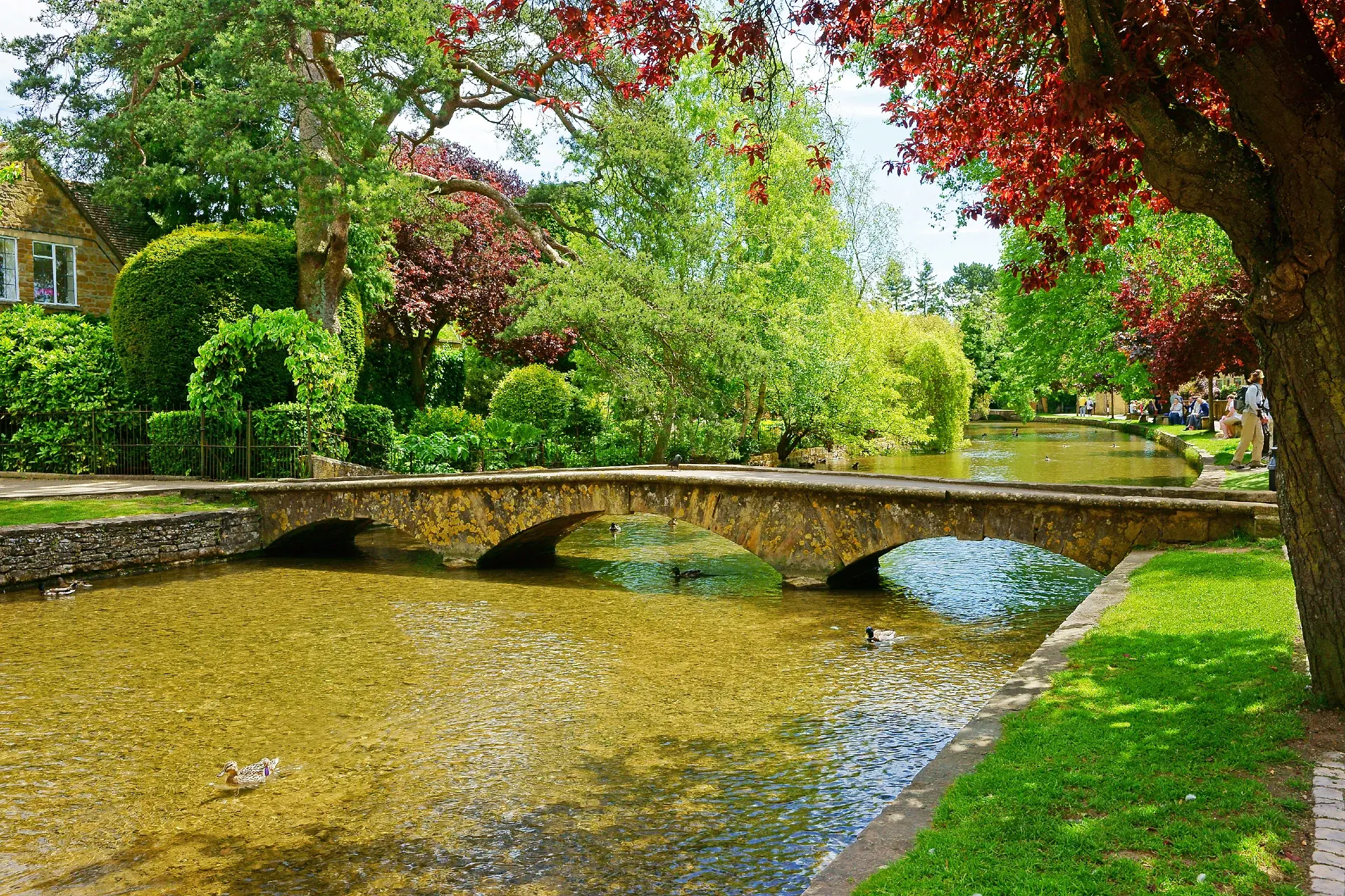 Blenheim Palace Day Tour with Cotswolds or Churchill War Rooms from London
