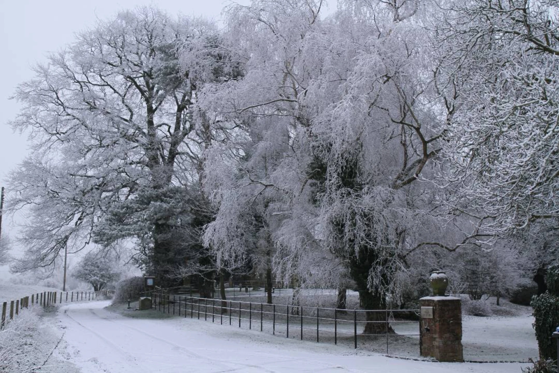 Cotswolds