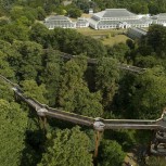 Treetop Walkway