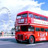 Afternoon Tea Bus Tour