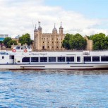 Sightseeing Cruise on the Thames