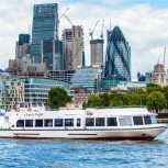 Sightseeing Cruise on the Thames