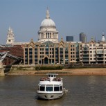 Sightseeing Cruise on the Thames