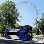 London Eye