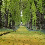 Hillsborough Castle and Gardens