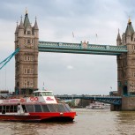 Christmas Day Thames Circular Cruise