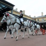 Royal Mews