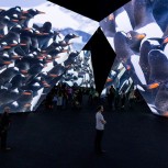 BBC Earth Experience