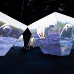 BBC Earth Experience