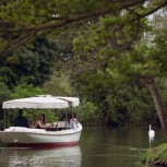 Picnic River Cruise